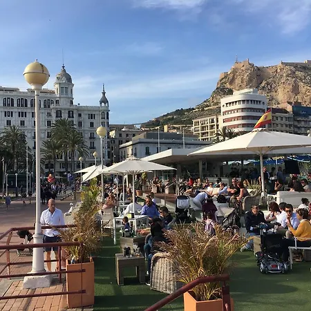 La Cupula * Alicante